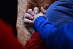 ПРЕЗИДЕНТ ЖАПАРОВ ИРАКТАН КАЙТАРЫЛГАН БАЛДАРДЫН АБАЛЫН СУРАДЫ