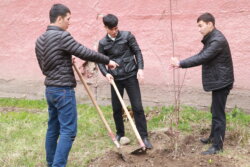 ОГПИде ЖАШТАР БАГЫ ТҮПТӨЛДҮ