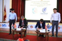 ОШМУНУН СЫЙМЫКТУУ БҮТҮРҮҮЧҮСҮ КОНОКТО