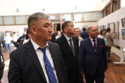 БИШКЕКТЕ ОШМУНУН СҮРӨТЧҮЛӨРҮНҮН КӨРГӨЗМӨСҮ ӨТҮП ЖАТАТ