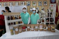 КГТУ В МЕРОПРИЯТИЯХ НЕДЕЛИ НАУКИ