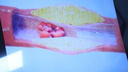 ОШМУДА МОРФОЛОГИЯЛЫК КИЧИ ЛАБОРАТОРИЯ АЧЫЛДЫ