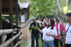 НООКАТТЫН ОКУУЧУЛАРЫ ОШТОГУ ОКУУ ЖАЙЛАР МЕНЕН ТААНЫШТЫ