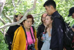 ЫМУНУН ОКУМУШТУУЛАРЫ БАК-ДАРАКТАРДЫ ДАРЫЛОО ҮЧҮН ТАБИГЫЙ ДАРЫ ОЙЛОП ТАБЫШТЫ