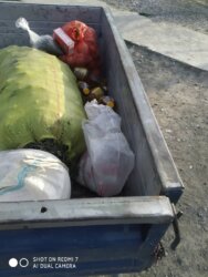 ЭЛГЕ КОЛ СУНГАН АГАРТУУЧУЛАР