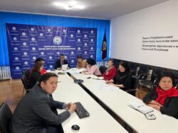 МИНИСТРДИН ОРУН БАСАРЫ КЕСИПТИК БИЛИМ БЕРҮҮ МЕКЕМЕЛЕРИНИН ЖЕТЕКЧИЛЕРИ МЕНЕН ОНЛАЙН ЖЫЙЫН ӨТКӨРДҮ
