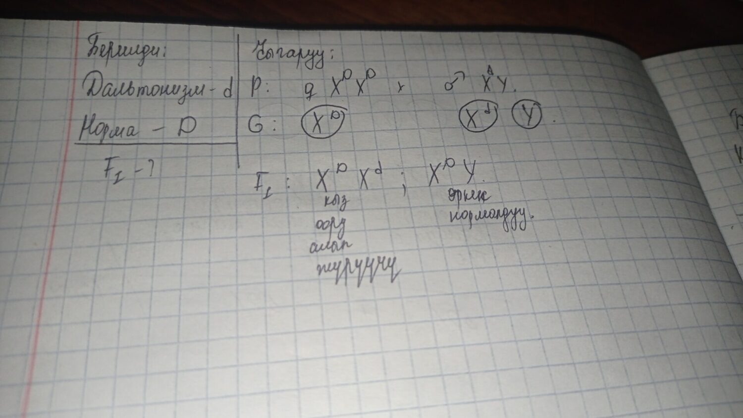 «АЯН» МЕНЕН «БИЛИМ АЗЫГЫ» МУГАЛИМДЕРДИ ОКУТТУ