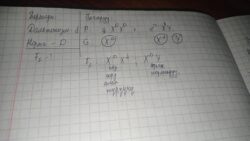 «АЯН» МЕНЕН «БИЛИМ АЗЫГЫ» МУГАЛИМДЕРДИ ОКУТТУ