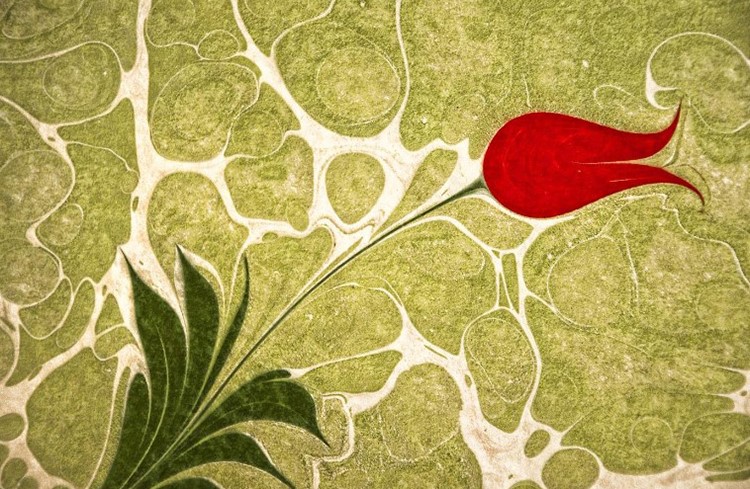 “ЭБРУ” — УНИКАЛДУУ ИСКУССТВО – Кутбилим