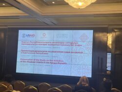 АКСАКАЛДАР СОТУ: ИШМЕРДҮҮЛҮГҮ, АКТУАЛДУУЛУГУ, ТУРУКТУУЛУГУ