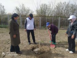 ЖАШЫЛДАНДЫРУУ ЖАШТАРДЫН ЭКОЛОГИЯЛЫК  ЖООПКЕРЧИЛИГИН ЖОГОРУЛАТАТ