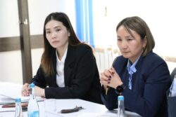 МИНИСТР ӨЗБЕКСТАНДЫН ЭЛЧИСИ МЕНЕН БИЛИМ БЕРҮҮ ЖАНА ИЛИМ ЖААТЫНДАГЫ ПЛАНДАРДЫ ТАЛКУУЛАДЫ