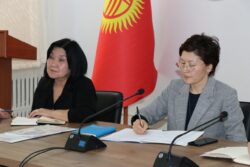 ВЕДОМСТВОЛОР АРАЛЫК ТОП “ӨКМӨТТҮК АКСЕЛЕРАТОРЛОР” ПРОГРАММАСЫНЫН БАГЫТТАРЫН ТАЛКУУЛАДЫ