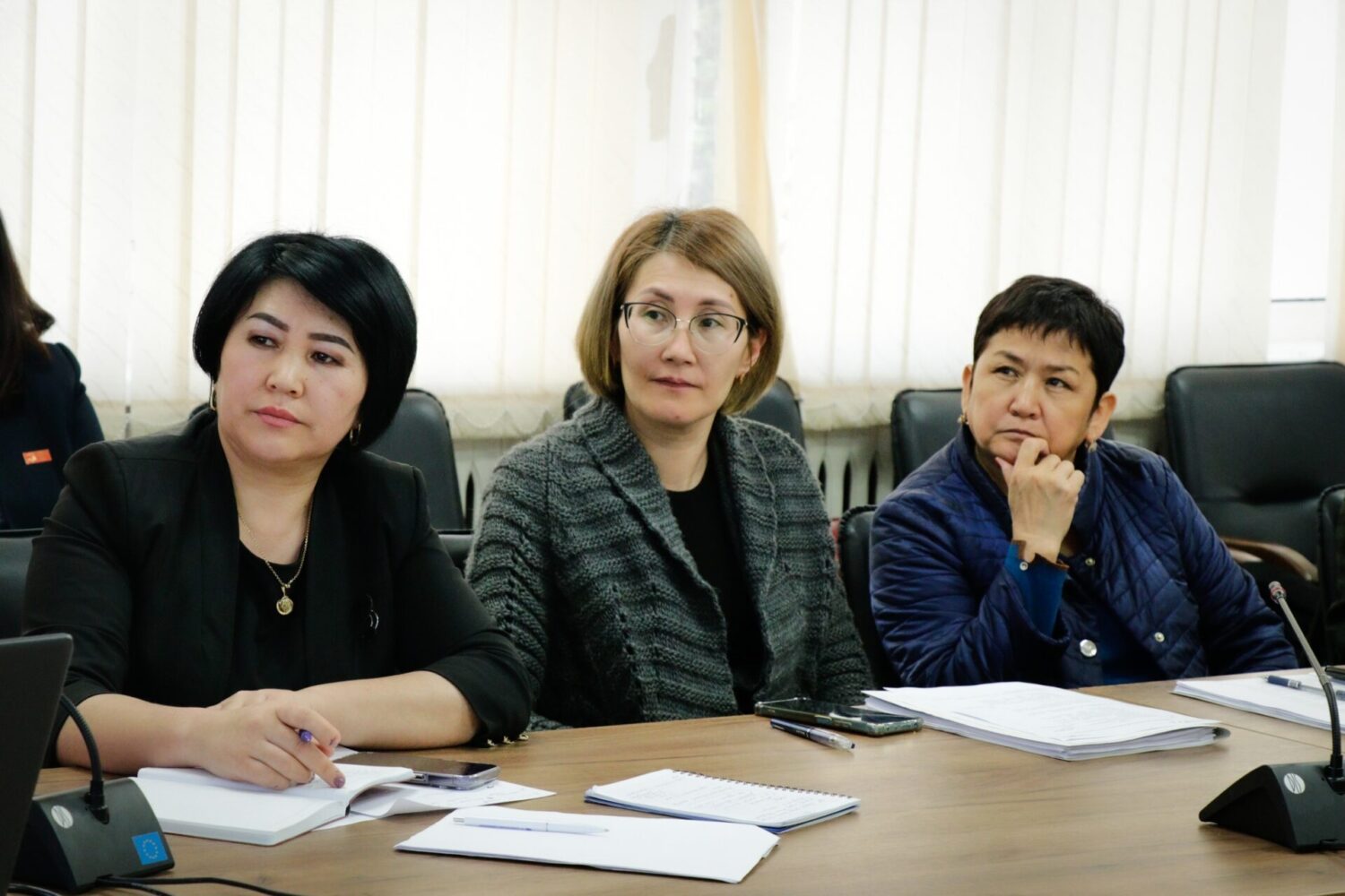 “ӨКМӨТТҮК АКСЕЛЕРАТОРЛОР” ПРОГРАММАСЫ:ЖЕКЕ ИШКЕРЛЕРДИ КАТТОО ТАРТИБИ ТАЛКУУЛАНДЫ