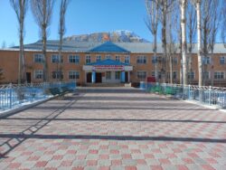 БҮТҮРҮҮЧҮЛӨРДҮН ЖАРДАМЫ ЖАНА ЖАРЫГЫ