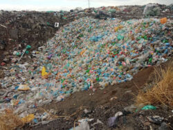 ЫМУНУН СТУДЕНТТЕРИ ЗАВОД ИШИ МЕНЕН ТААНЫШТЫ