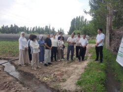 СТУДЕНТТЕР АЙЫЛ-ЧАРБА ДОЛБООРУНА КАТЫШТЫ