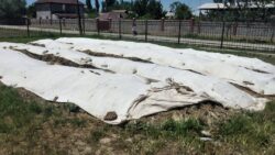 КӨМӨКЧҮ ЧАРБА — МЕКТЕПТИ ӨНҮКТҮРҮҮГӨ ӨБӨЛГӨ