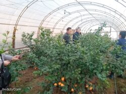 КӨМӨКЧҮ ЧАРБА — МЕКТЕПТИ ӨНҮКТҮРҮҮГӨ ӨБӨЛГӨ