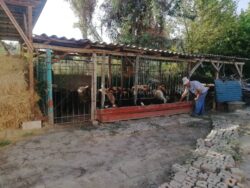 КӨМӨКЧҮ ЧАРБА — МЕКТЕПТИ ӨНҮКТҮРҮҮГӨ ӨБӨЛГӨ