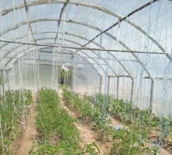 КӨМӨКЧҮ ЧАРБА — МЕКТЕПТИ ӨНҮКТҮРҮҮГӨ ӨБӨЛГӨ