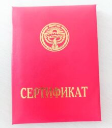 АЛМАШУУ ПРОГРАММАСЫНЫН АЛДЫҢКЫСЫ