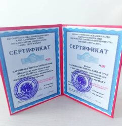 АЛМАШУУ ПРОГРАММАСЫНЫН АЛДЫҢКЫСЫ