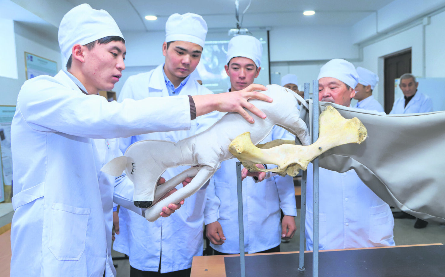 АГРОТЕХНИКАЛЫК КОЛЛЕДЖИ