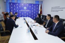 МИНИСТРДИН ОРУН БАСАРЫ ЯПОНИЯЛЫК КОМПАНИЯЛАРДЫН ДИРЕКТОРЛОРУ МЕНЕН КЫЗМАТТАШУУНУ ТАЛКУУЛАДЫ