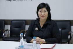 ЗАМЕСТИТЕЛЬ МИНИСТРА ОБСУДИЛА СОТРУДНИЧЕСТВО С ДИРЕКТОРАМИ ЯПОНСКИХ КОМПАНИЙ