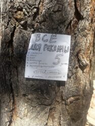 БАЛАЖАН: БИЗНЕС КҮНҮ