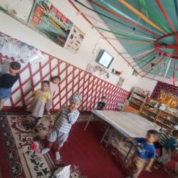 ЖАШ ЖЕТЕКЧИНИН ЖЕМИШТҮҮ ЖЕТИШКЕНДИКТЕРИ