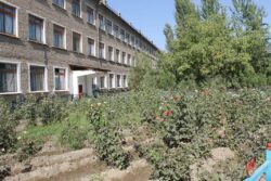 ЖАҢЫ ОКУУ ЖЫЛЫНА ДАЯРДЫК