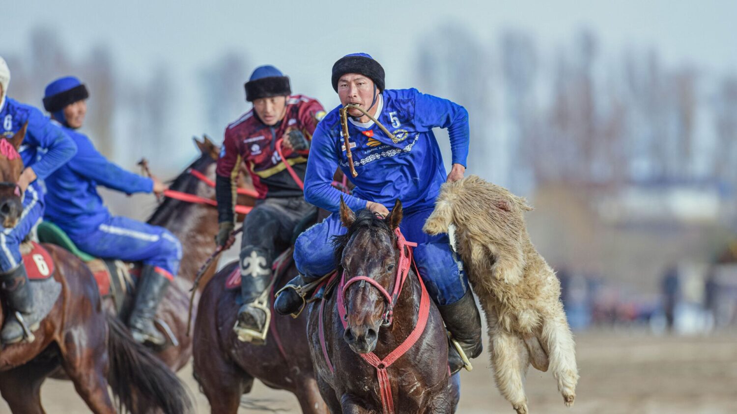 Көк бөрү: Ынтымак командасы эл аралык кубоктун жеңүүчүсү болду
