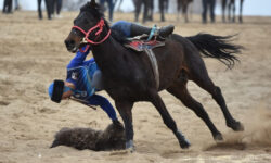 Көк бөрү: Ынтымак командасы эл аралык кубоктун жеңүүчүсү болду