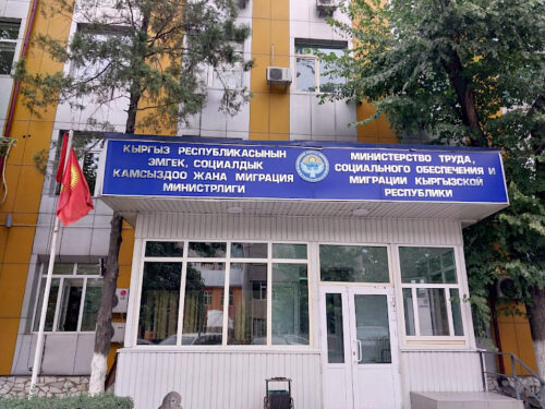 Кыргызстанда насаатчылык институту киргизилди