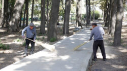 Бишкектин Биринчи май районунда жаңы сквер курулууда