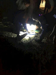 Бишкекте чуңкурга түшүп кеткен өспүрүм куткарылды