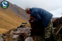 Нарында сак дооруна таандык петроглифтер табылды