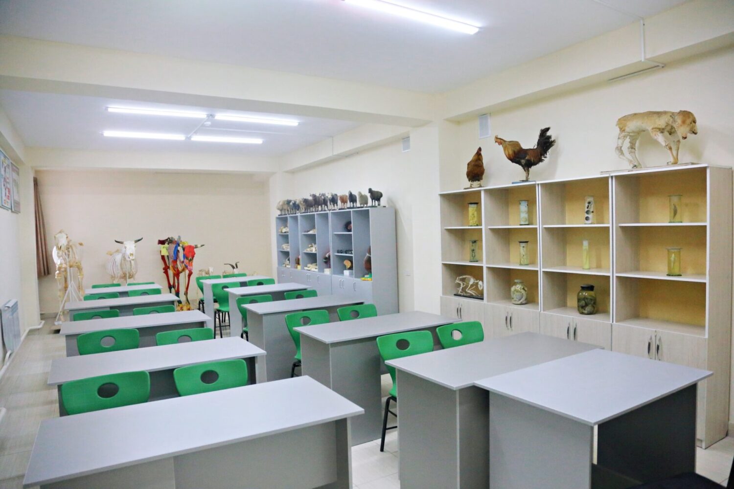 ОШМУ: ВЕТЕРИНАРДЫК КЛИНИКА АЧЫЛДЫ