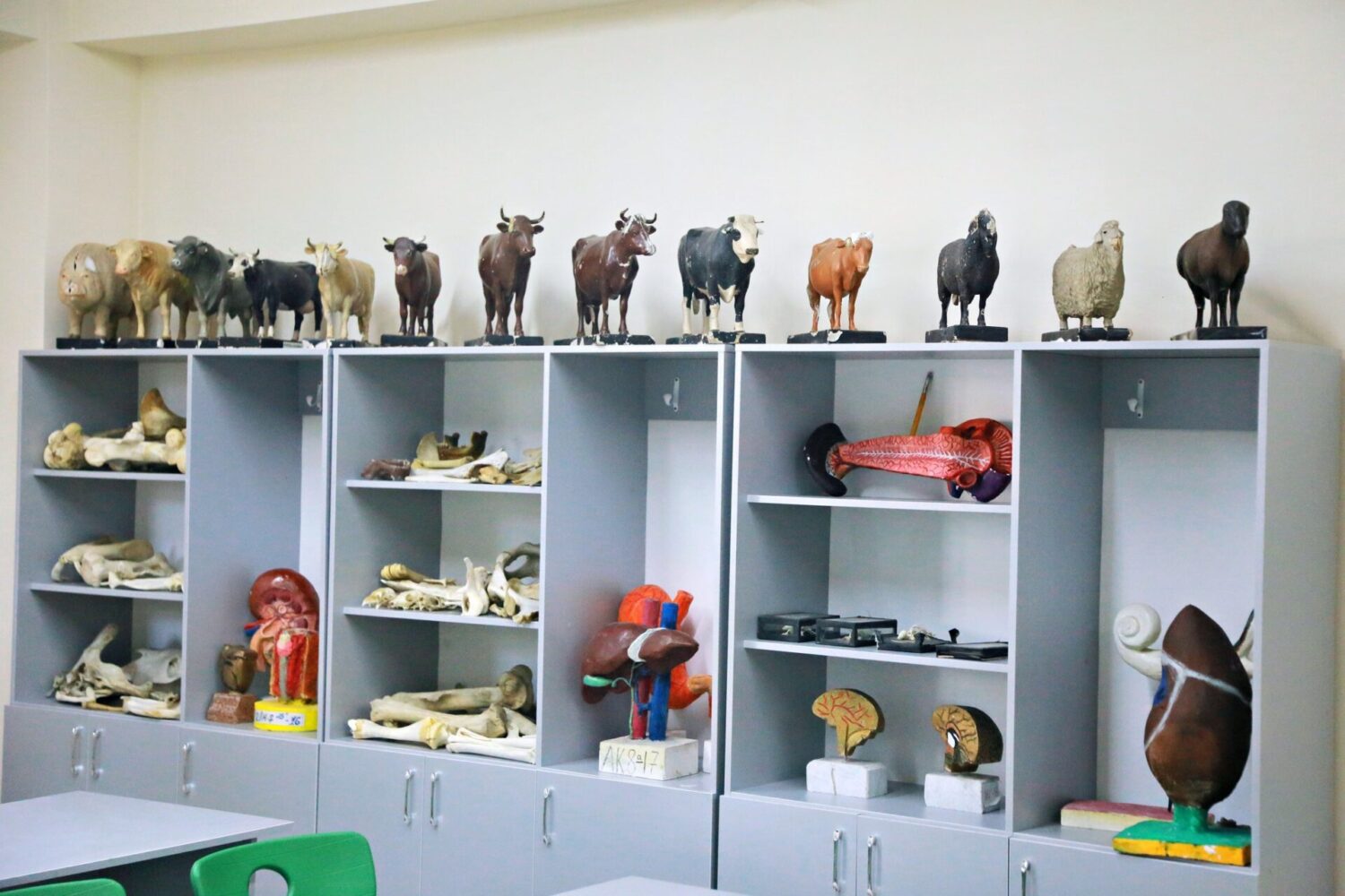 ОШМУ: ВЕТЕРИНАРДЫК КЛИНИКА АЧЫЛДЫ