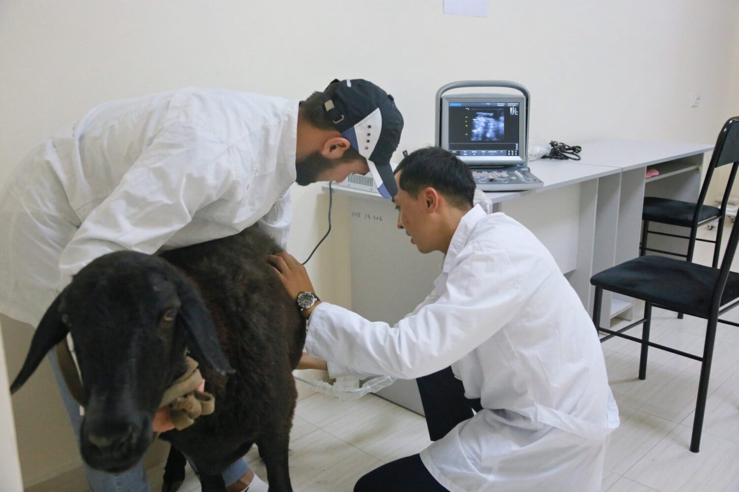 ОШМУ: ВЕТЕРИНАРДЫК КЛИНИКА АЧЫЛДЫ