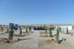  Жалал-Абад шаарында Кыргызстан менен Орусия аймактарынын достук паркы түзүлөт