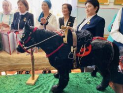 АТ-БАШЫДА БАШТАЛГЫЧ КЛАССТЫН МУГАЛИМДЕРИ АРАСЫНДА СЫНАК ӨТТҮ