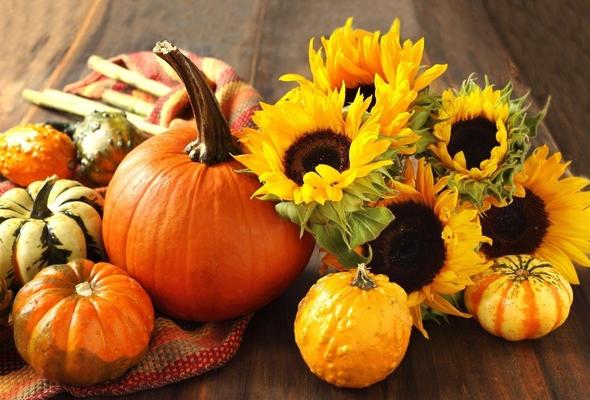 БЕРЕКЕЛҮҮ АЛТЫН КҮЗ