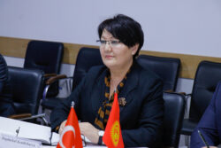 ДОГДУРКҮЛ КЕНДИРБАЕВА ТҮРКИЯДА КВАЛИФИКАЦИЯ ЖОГОРУЛАТУУ КУРСТАРЫН УЮШТУРУУНУ ТАЛКУУЛАДЫ