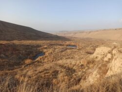 ОшМУнун студенттери акцияга салым кошту