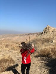 ОшМУнун студенттери акцияга салым кошту