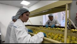 КЫЗЫЛ-КЫЯ КОЛЛЕДЖИНИН СТУДЕНТТЕРИ КОШУМЧА КИРЕШЕ ТАБУУ МҮМКҮНЧҮЛҮГҮН АЛДЫ