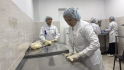 ВЕТЕРИНАРИЯ ТАРМАГЫНА ЖАШТАР ТАРТЫЛУУДА